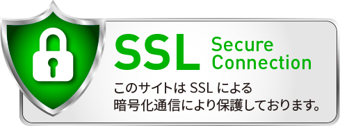 SSL secure connection